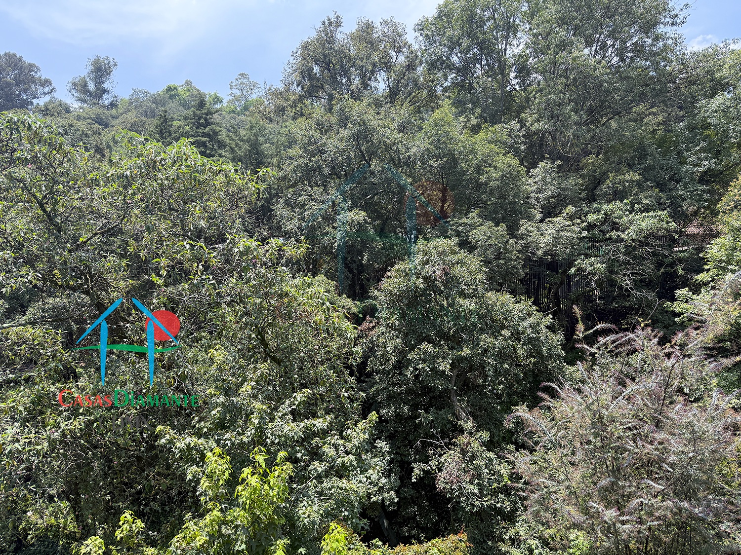 Las Aguilas Ursus BJB - Recámara principal 7